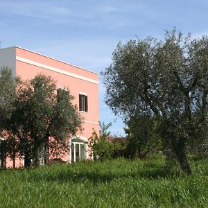 B&B Coccio Pesto